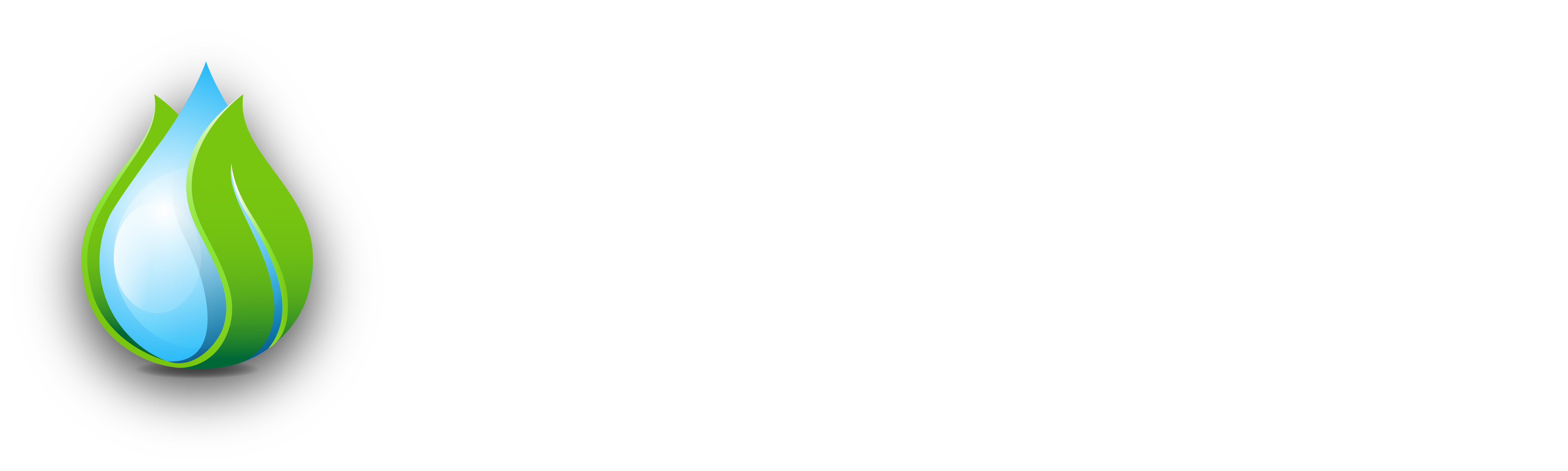 Nazifa